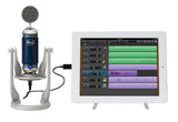 Blue Mic Spark Digital Lightning Pin Model