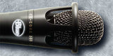 enCORE 300 Premium Vocal Condenser Microphone