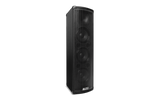 Alto Professional Trouper Compact High-Performance PA System