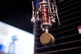 Blue Spark SL Large Diaphragm Studio Condenser Microphone