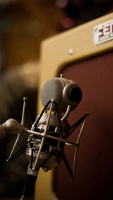 Blue Mouse Condenser Microphone Signature Series