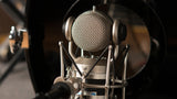 Blue Mouse Condenser Microphone Signature Series