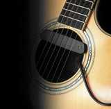 Fishman Neo-D Soundhole Humbucking Pickup